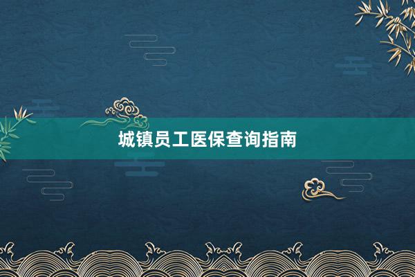 城镇员工医保查询指南