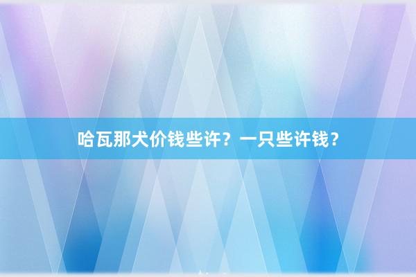 哈瓦那犬价钱些许？一只些许钱？